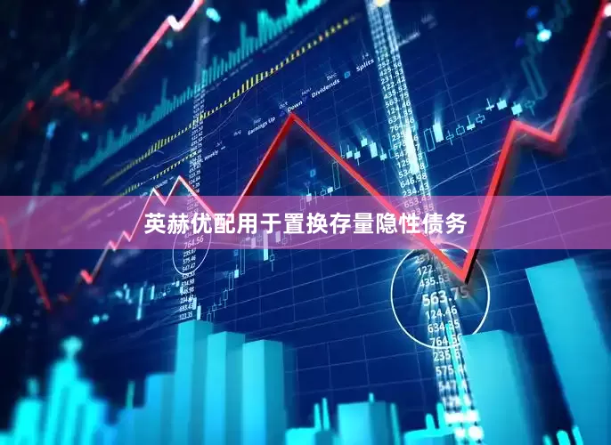 英赫优配用于置换存量隐性债务