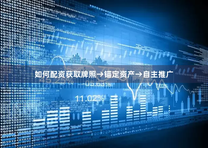 如何配资获取牌照→锚定资产→自主推广