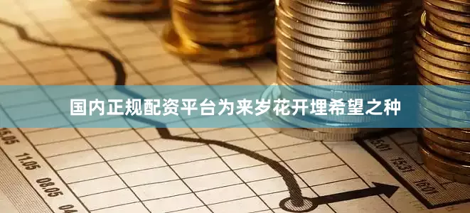 国内正规配资平台为来岁花开埋希望之种